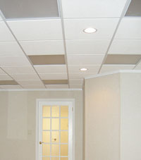 Basement Ceiling Tiles for a project we worked on in Williamstown, New Jersey