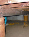 Mold and rot thriving in a dirt floor crawl space in Vineland