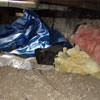 A crawl space filled with loose insulation, debris, and a large tarp in Egg Harbor City.