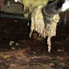 Fiberglass insulation dripping off a pipe in Ocean City.