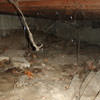 A crawl space with spiderwebs, mold, and uneven floors in Glassboro.