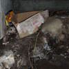 A rotting box sitting on a rock in a crawl space in Manchester Township.