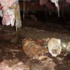 Mold, flooding water, mildew, and rot in a crawl space environment in Pleasantville.