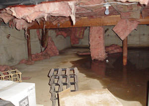 Fiberglass dripping off of the ceilings of a Philadelphia crawl space