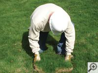 Restoring the landscaping by replacing removed sod on the ground for a Marlton home.