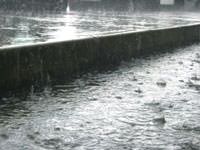 Heavy rains in a downpour in Glassboro.