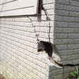 foundation walls cracked due to settlement in Vineland