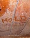 The word mold written with a finger on a moldy wood wall in Sewell