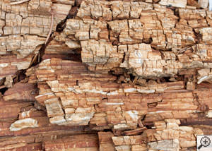 Dry rot damage on wood in Mays Landing