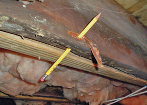 Destroyed crawl space structural wood in Winslow