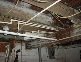 a humid basement overgrown with mold and rot in Voorhees