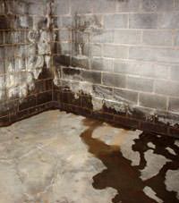 Water seeping through a concrete wall in a Havertown basement