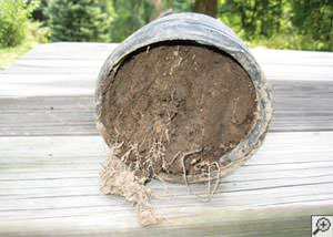 clogged french drain found in Margate City, New Jersey and Pennsylvania