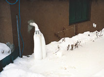 IceGuard® Installed Bridgeton